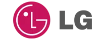 pavs-lg-logo